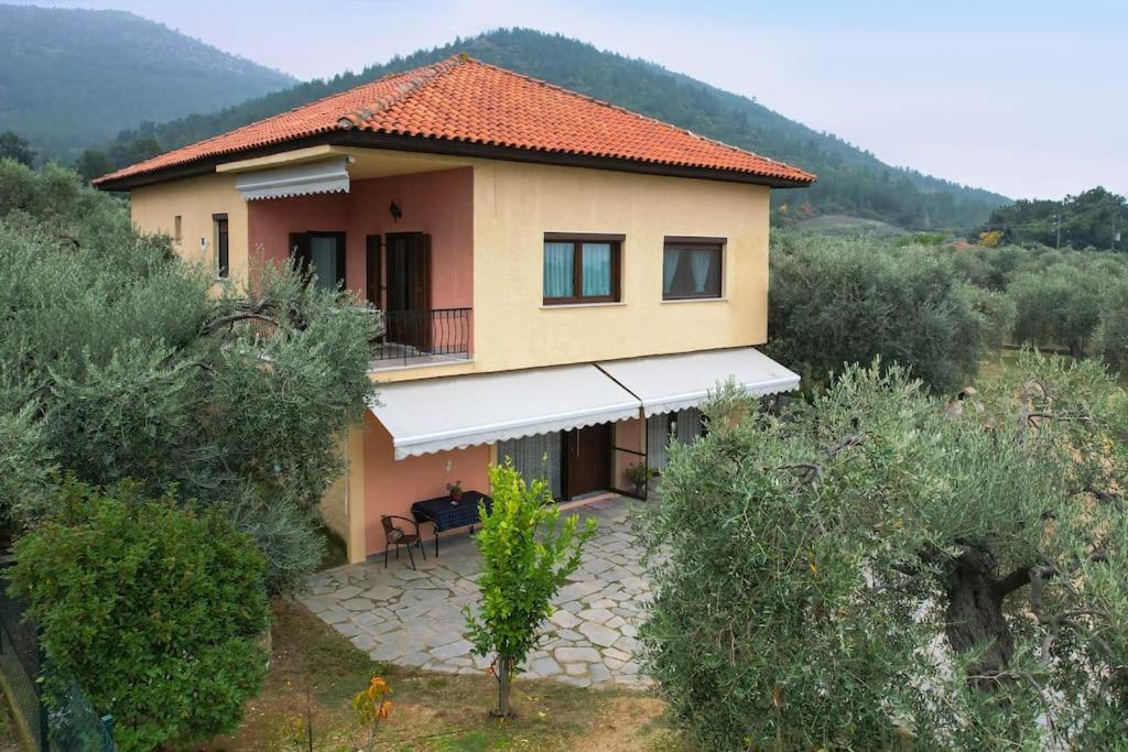 فيلا Olive'S House Skala Rachoni  المظهر الخارجي الصورة