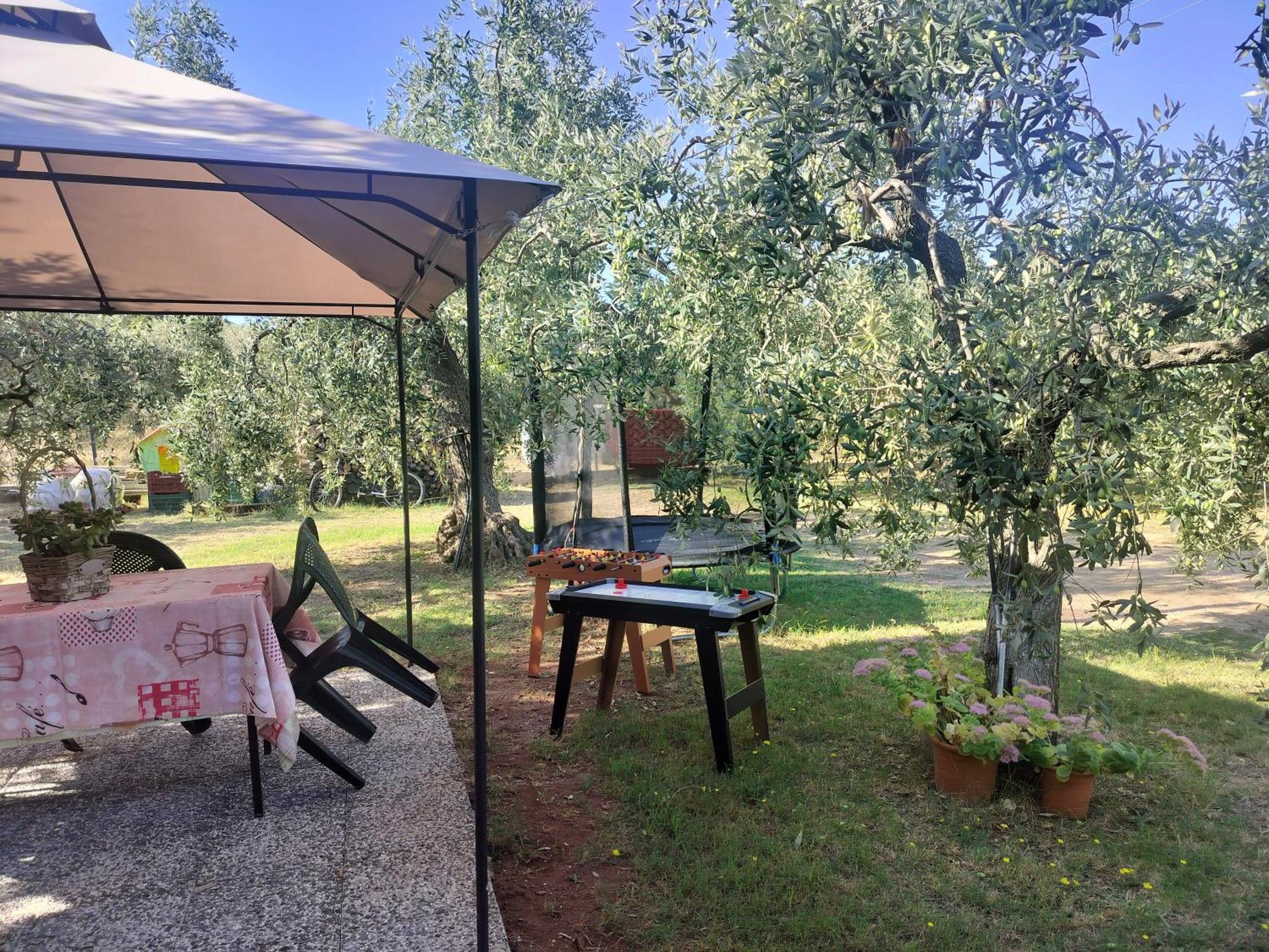 فيلا Olive'S House Skala Rachoni  المظهر الخارجي الصورة